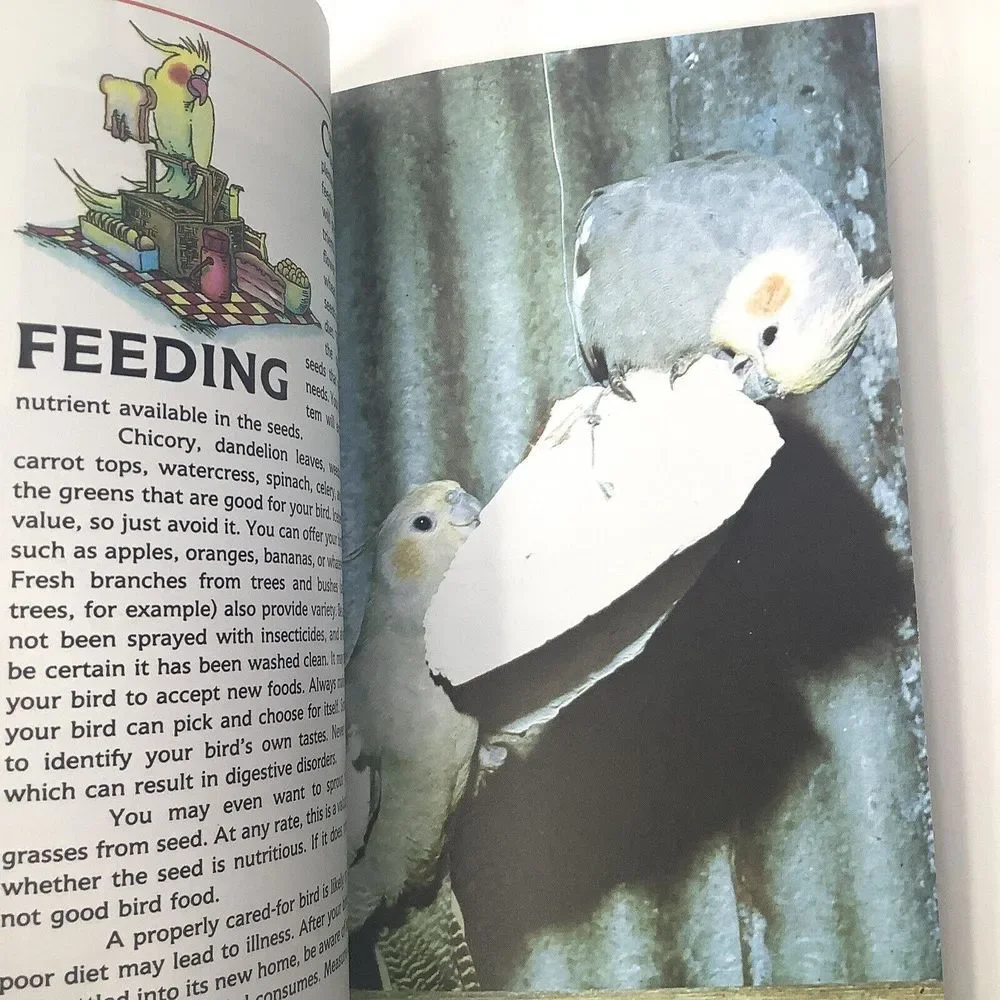 Lot of 2 All about cockatiels and A Step by Step book about‎ Cockatiels A Barrie